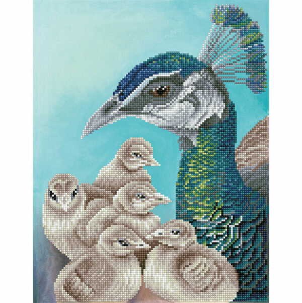 Diamond Painting Kit Dotz MOTHER ON GUARD 43 x 53cm Peacock Chicks Blue Green