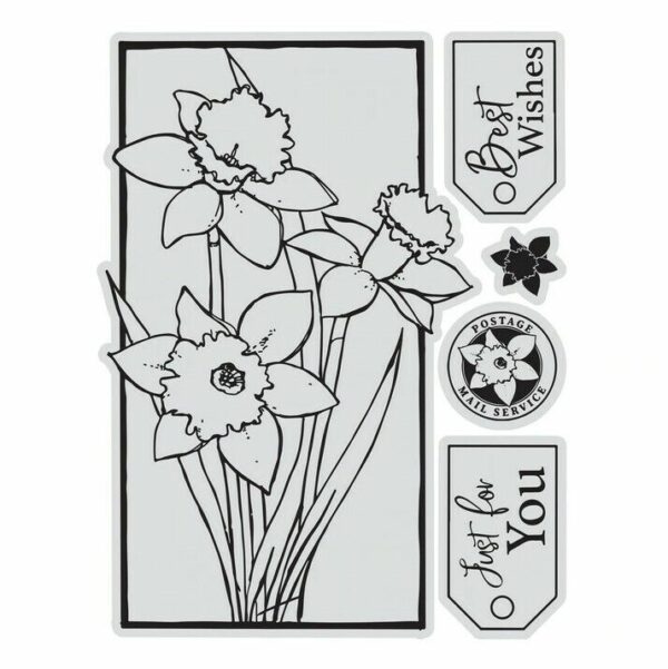 Couture Creations Stamp & Colour Vintage Blooms - Framed Daffodils (5pc) Flowers