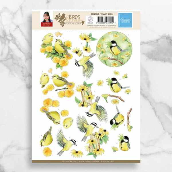 Couture 3D Diecut Decoupage A4 Pushout Kit Birds & Flowers - Yellow Birds